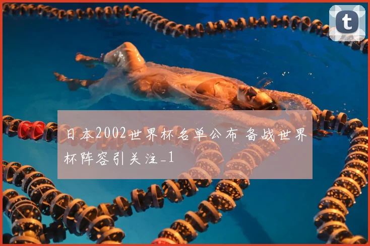 日本2002世界杯名单公布 备战世界杯阵容引关注_1