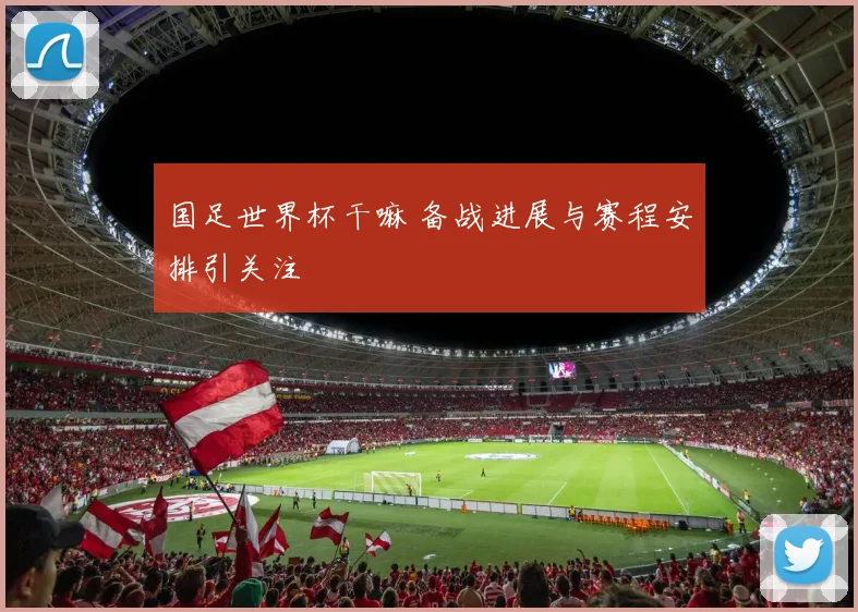 国足世界杯干嘛 备战进展与赛程安排引关注