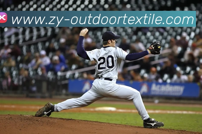 世界杯开户平台平台生态图